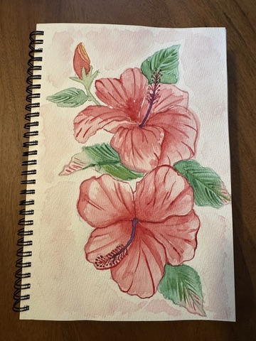 Hibiscus
